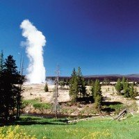 Yellowstone NP